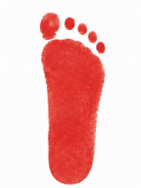 Moderate Flat Footprint
