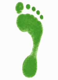 Normal Arch Footprint